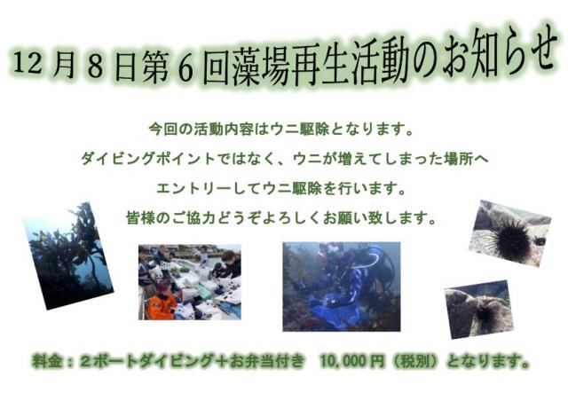 北風！葉山エントリー