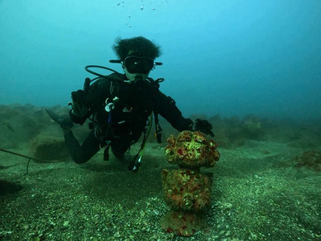今日は江の浦へ！