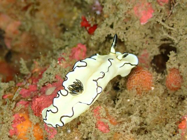 今日もいいお天気でした。