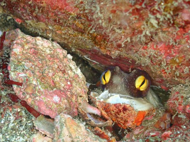 今日もいいお天気でした。