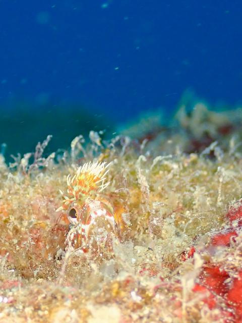 今日もいいお天気でした。