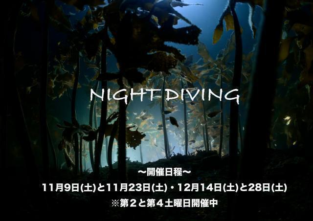 １本潜ったら大時化に・・・