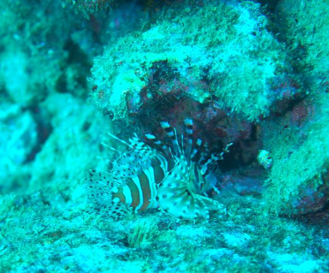 １本潜ったら大時化に・・・