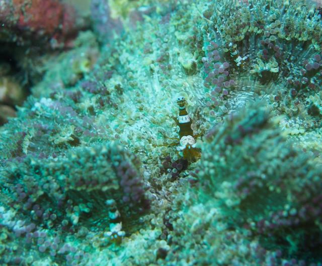 １本潜ったら大時化に・・・