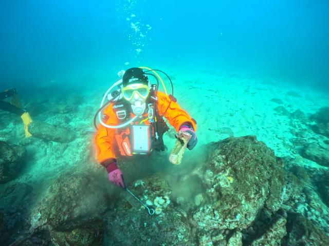 藻場保全活動と海中ゴミ拾い開催しました