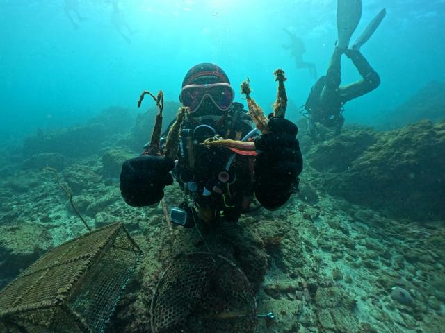 藻場保全活動と海中ゴミ拾い開催しました