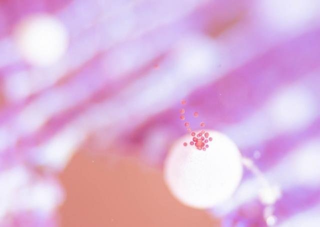 寒けど、気持ちの良い1日！