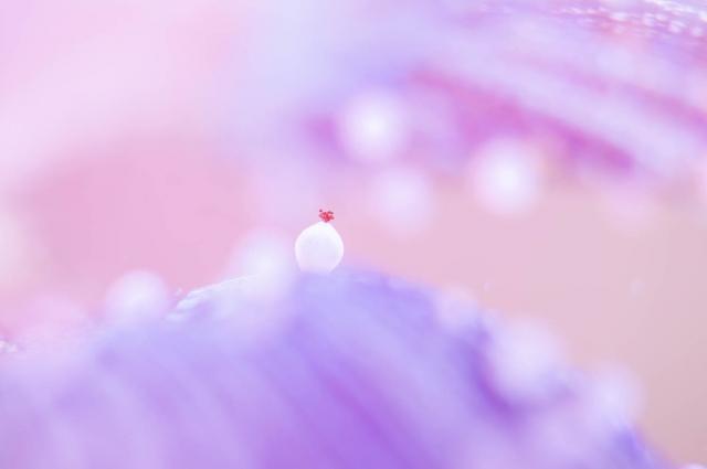 寒けど、気持ちの良い1日！