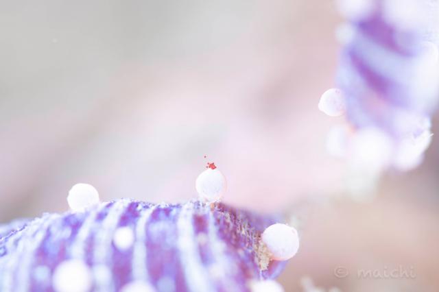 寒けど、気持ちの良い1日！