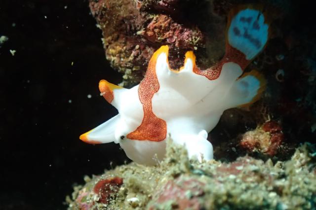 みんなで三浦へ行ってきました