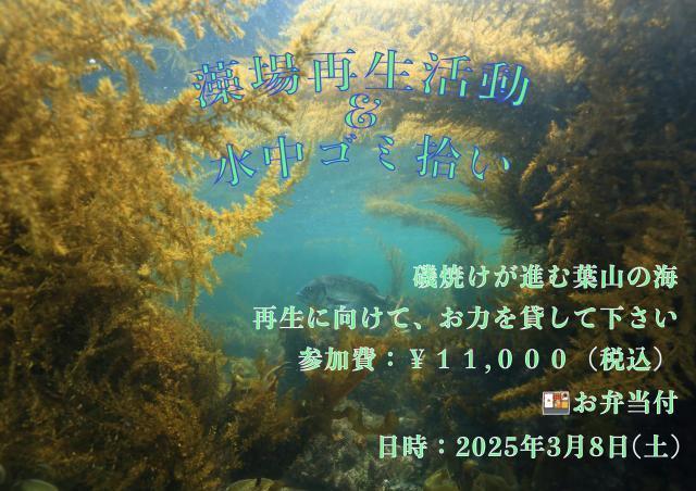 水温12度、透視度６m！でも楽しかったー！