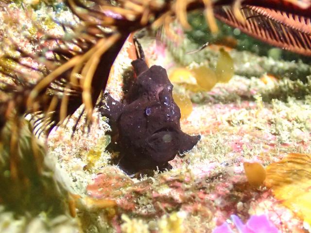 雨風すごかった〜！！