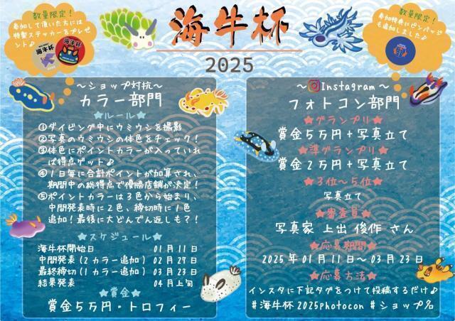 透視度意外と良かった!