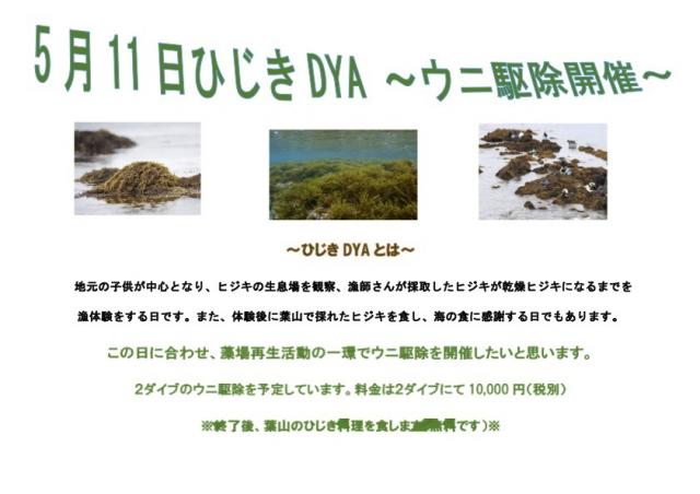 ダイビングショップNANA18年目へ!!