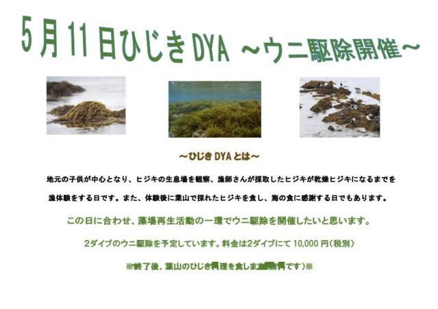 ミドリアマモウミウシDAY!