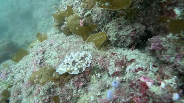 葉山エントリー！！