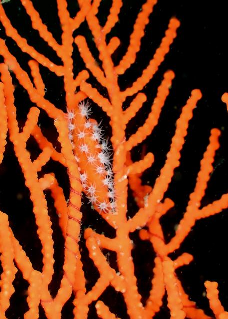 ちょっとうねりあり…