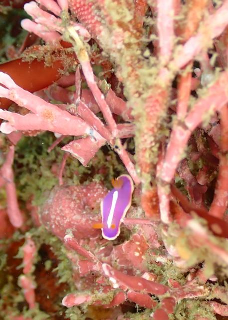 ちょっとうねりあり…