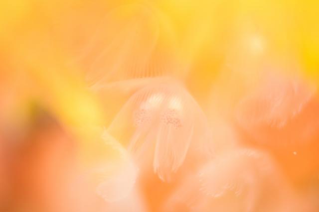 ちょっとうねりあり…