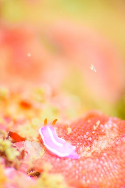 ちょっとうねりあり…