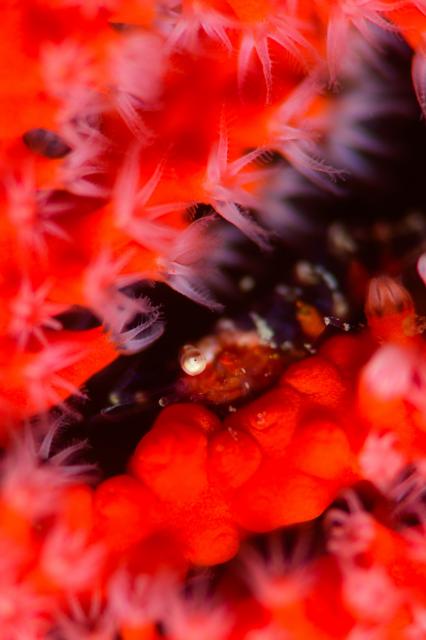 ちょっとうねりあり…