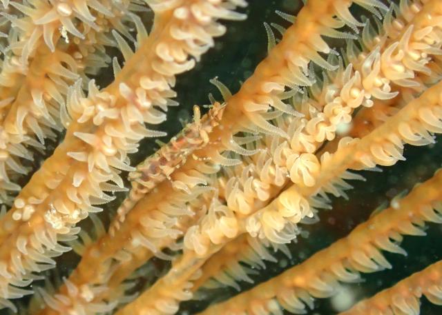 ちょっとうねりあり…