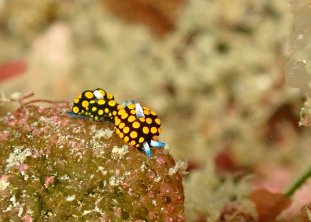 ちょっとうねりあり…