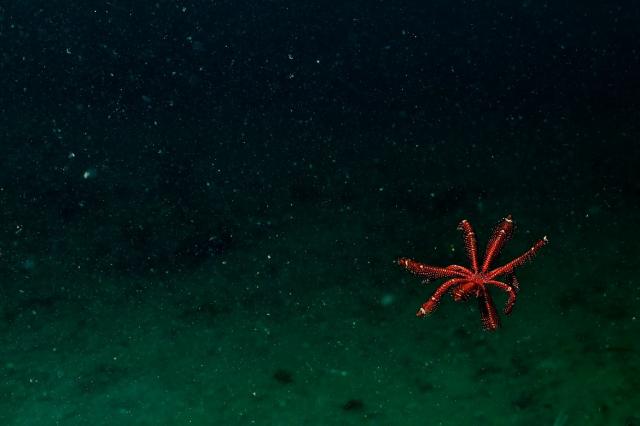 ワイドな時期に！