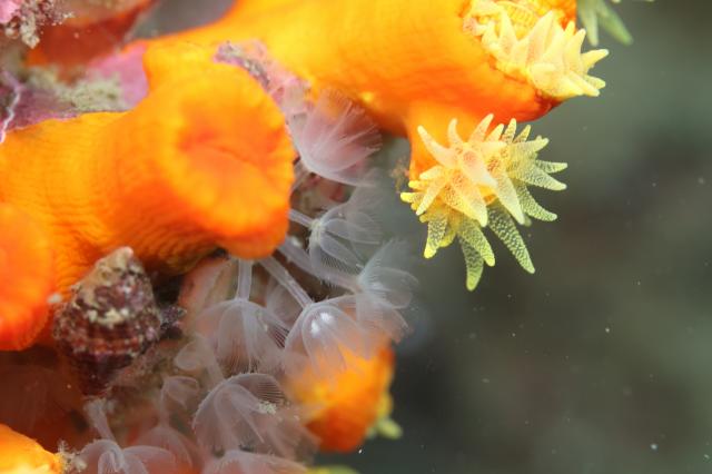 ワイドな時期に！