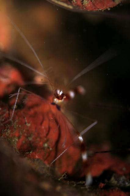 ワイドな時期に！