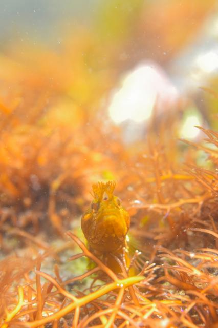 いいお天気でしたね。