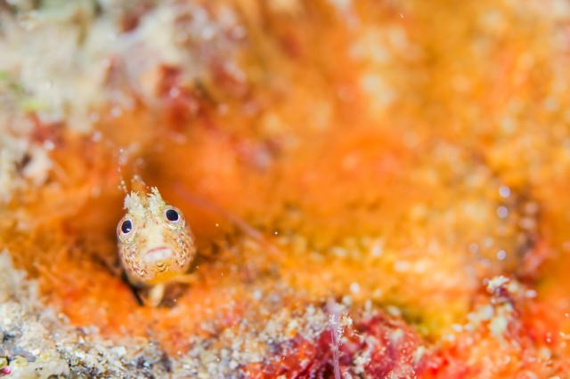 いいお天気でしたね。