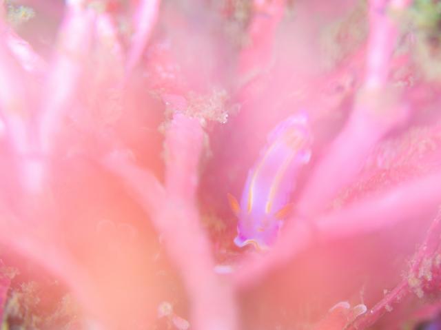 いいお天気でしたね。