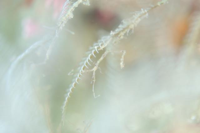 いいお天気でしたね。