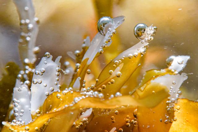 いいお天気でしたね。