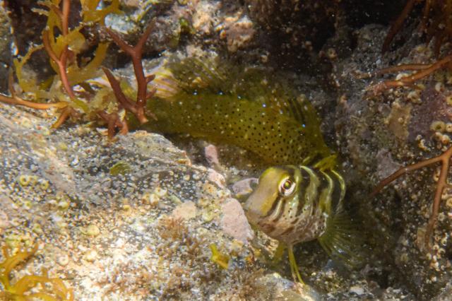 いいお天気でしたね。