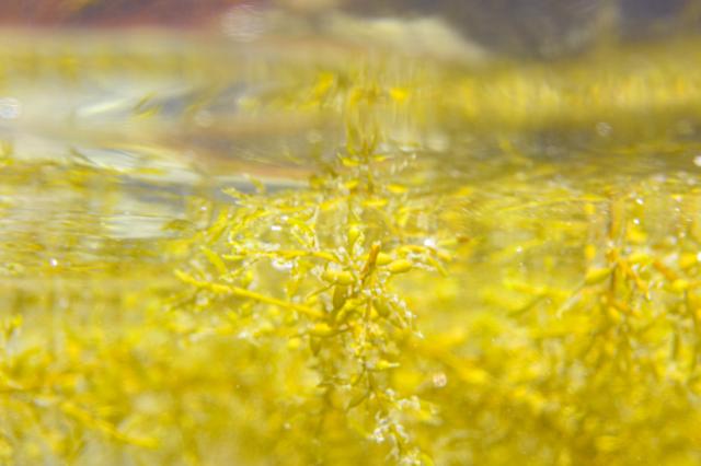 いいお天気でしたね。