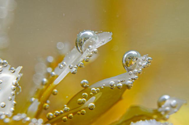 いいお天気でしたね。