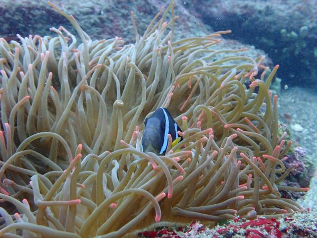 江の浦遠征してきました