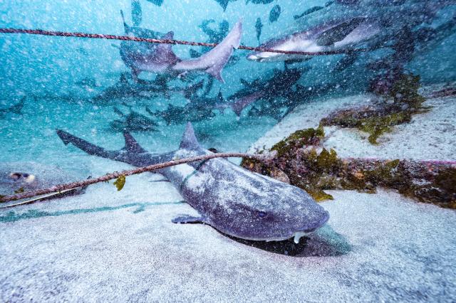 GWということでプチツアー開催！