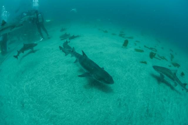 GWということでプチツアー開催！