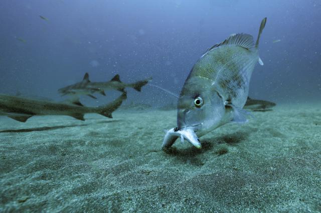 GWということでプチツアー開催！