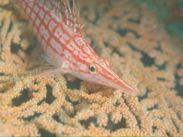 GWということでプチツアー開催！