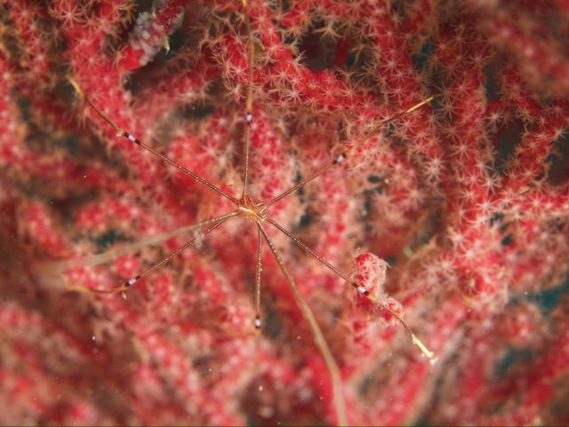 GWということでプチツアー開催！