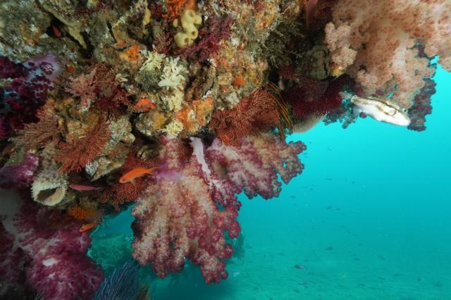 GWということでプチツアー開催！