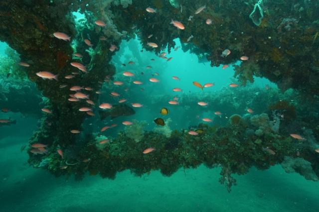 GWということでプチツアー開催！