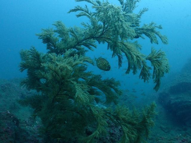 GWということでプチツアー開催！