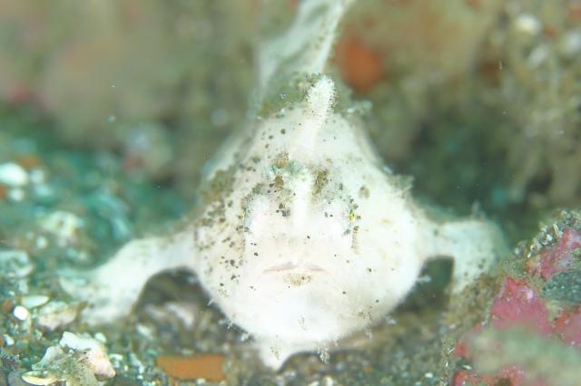 GWということでプチツアー開催！