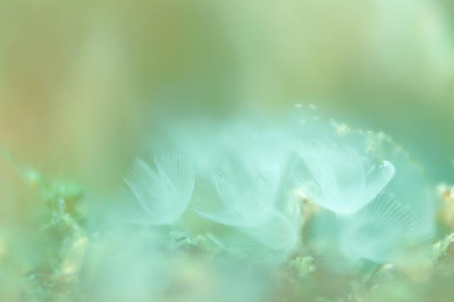 GWということでプチツアー開催！