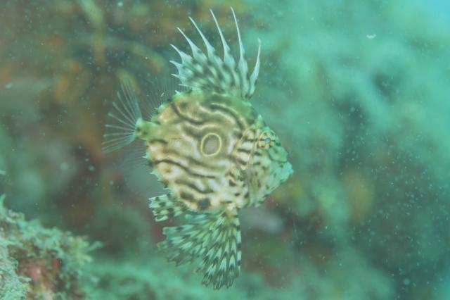 GWということでプチツアー開催！